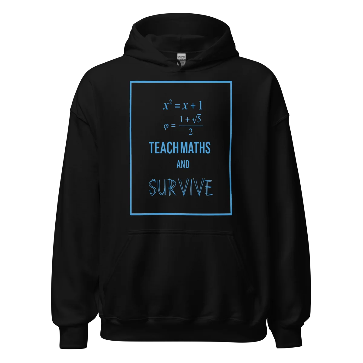 Hoodie Noir Teach Maths and Survive - Image 2